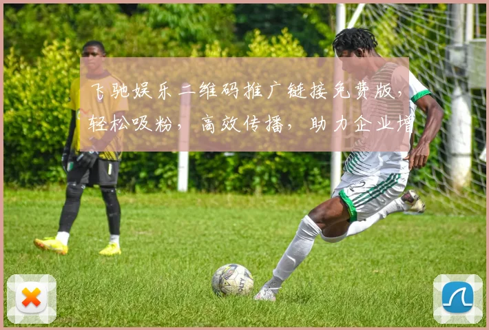 飞驰娱乐二维码推广链接免费版，轻松吸粉，高效传播，助力企业增长，三步轻松实现，不容错过