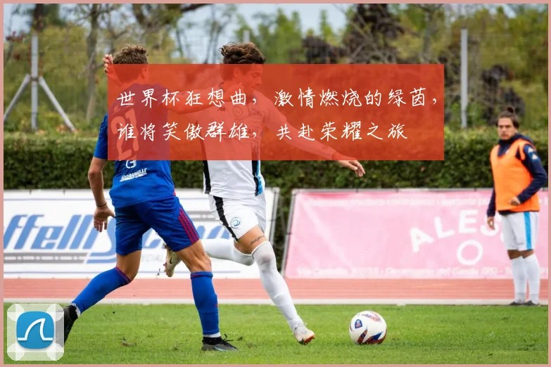 世界杯狂想曲，激情燃烧的绿茵，谁将笑傲群雄，共赴荣耀之旅