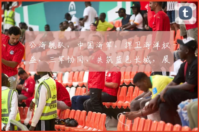 公海舰队，中国海军，捍卫海洋权益，三军协同，共筑蓝色长城，展现大国海军风采