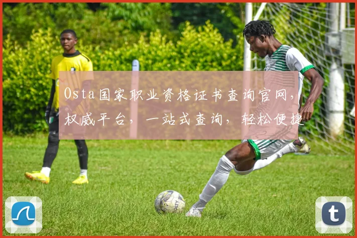 Osta国家职业资格证书查询官网，权威平台，一站式查询，轻松便捷，三步搞定