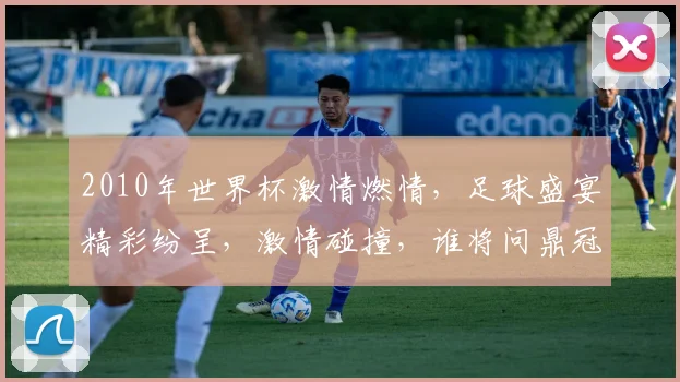 2010年世界杯激情燃情，足球盛宴精彩纷呈，激情碰撞，谁将问鼎冠军