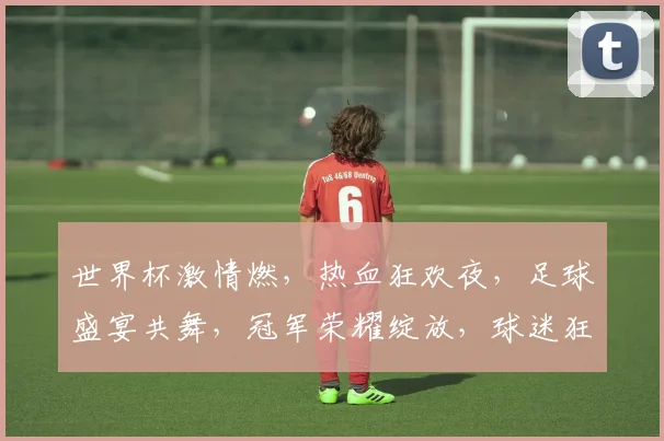 世界杯激情燃，热血狂欢夜，足球盛宴共舞，冠军荣耀绽放，球迷狂欢