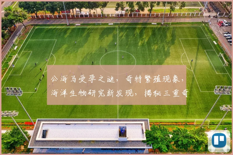 公海马受孕之谜，奇特繁殖现象，海洋生物研究新发现，揭秘三重奇观，引人关注